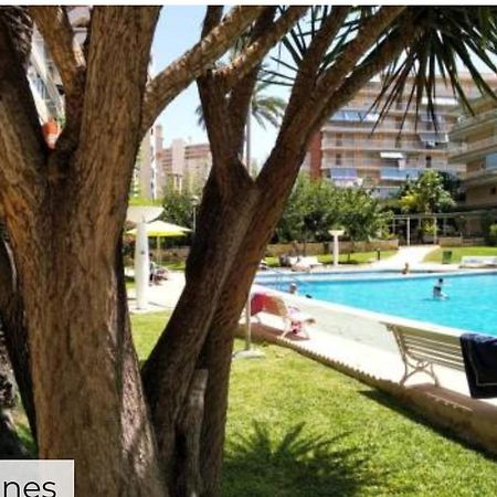 Apartamento Entero En La Playa San Juan Benacantil Alicante Esterno foto